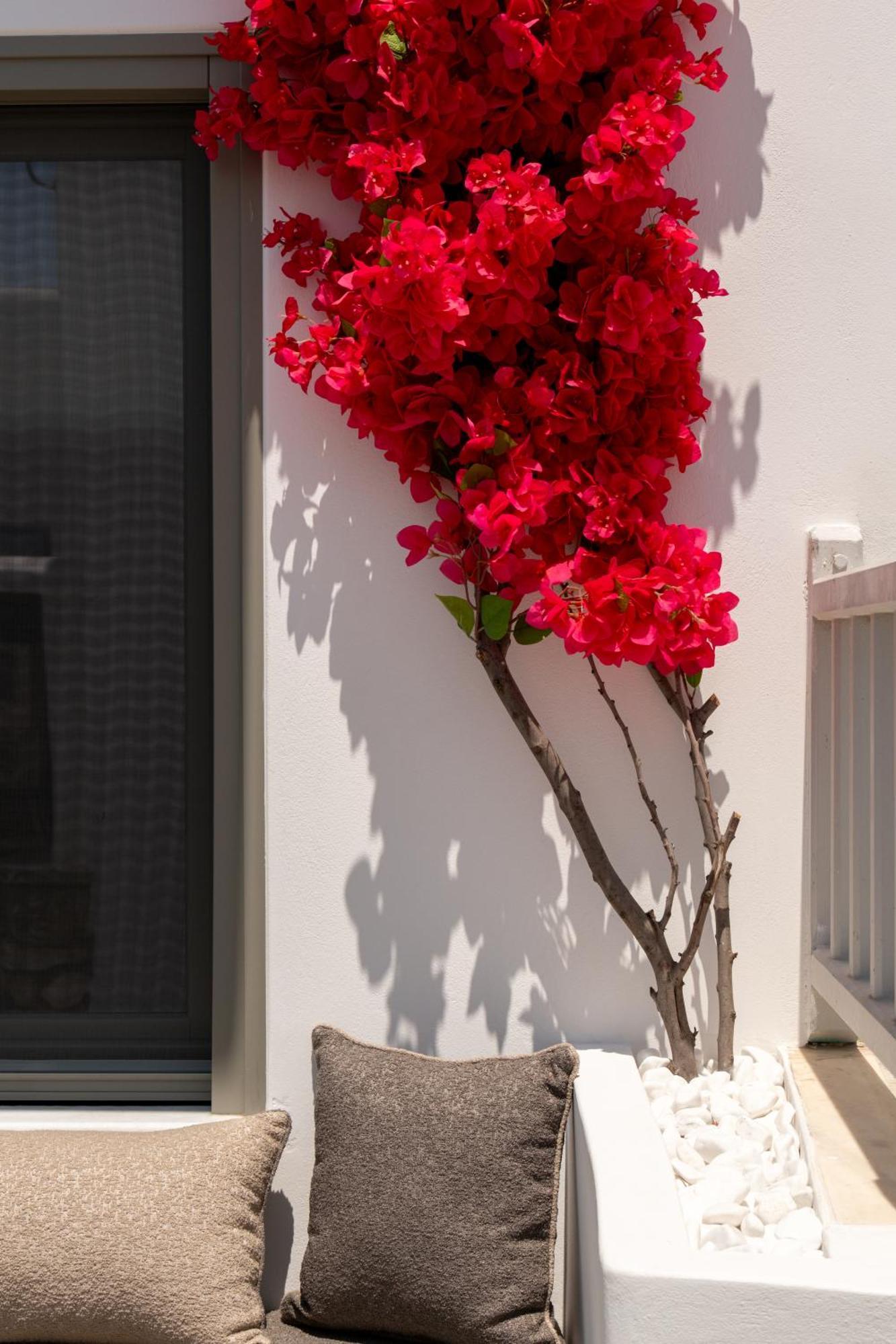 Sunsal Luxury Studios - Earth Naousa  Luaran gambar